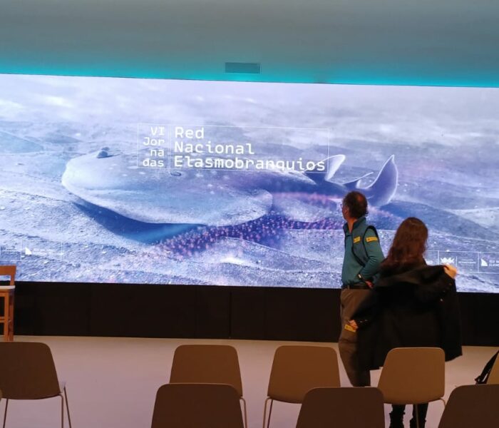 WhatsApp Image 2025-04-03 at 11.42.59