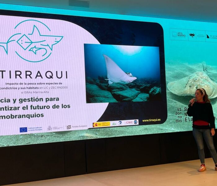 WhatsApp Image 2025-04-03 at 20.00.08