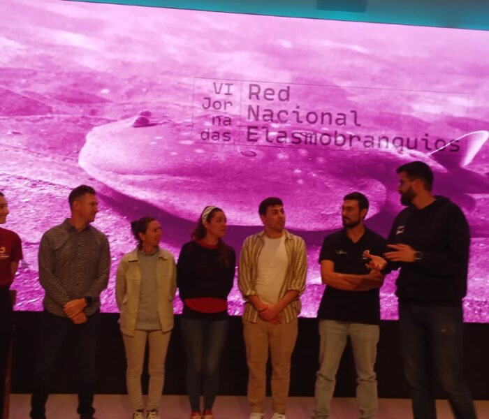 WhatsApp Image 2025-04-03 at 20.03.13