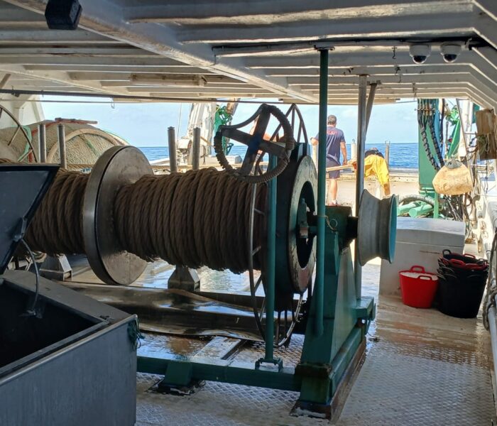 WhatsApp Image 2025-07-31 at 14.03.26