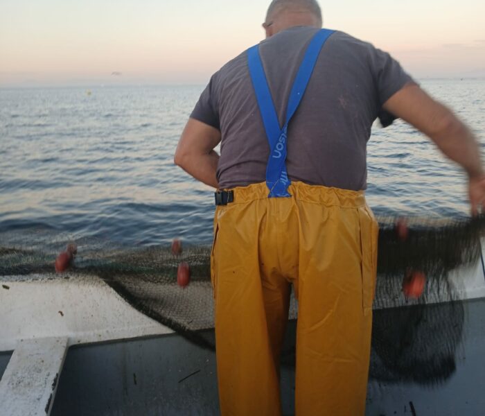 WhatsApp Image 2025-07-31 at 14.03.45