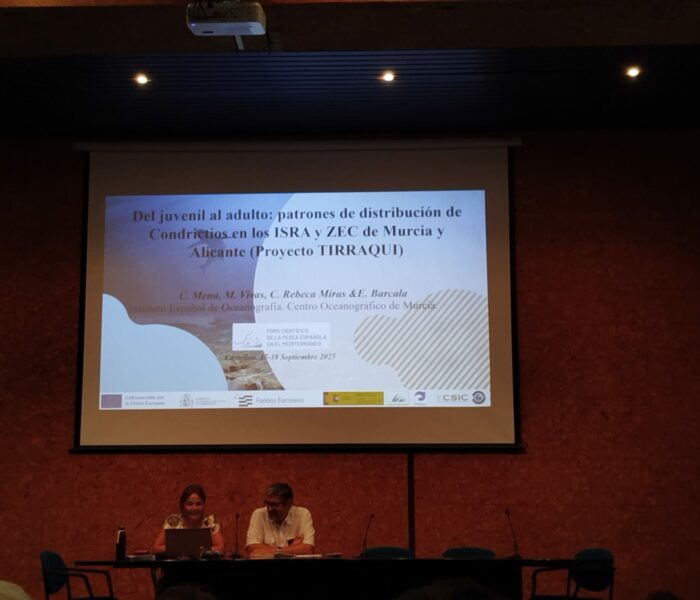 WhatsApp Image 2025-09-18 at 09.54.53