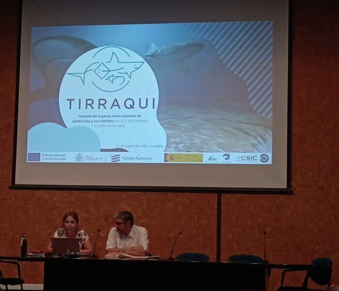 WhatsApp Image 2025-09-18 at 09.55.29