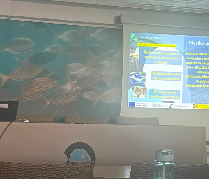 WhatsApp Image 2025-10-01 at 20.04.21 (2)