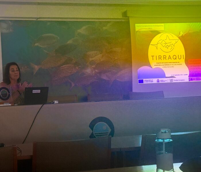 WhatsApp Image 2025-10-01 at 20.04.21 (3)