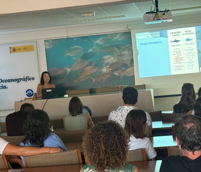 WhatsApp Image 2025-10-01 at 20.04.22 (3)