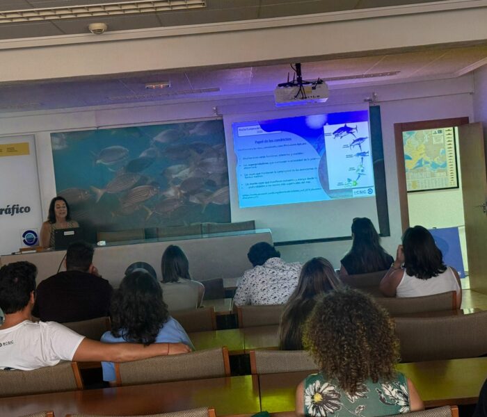 WhatsApp Image 2025-10-01 at 20.04.23